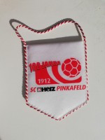 /album/pinkafeld/sc-herz-pinkafeld-100-13-a-jpg/